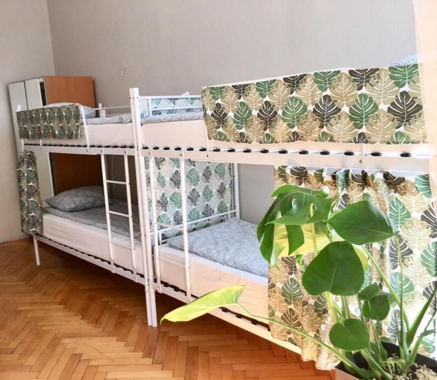 Green House Krakow Ngoại thất bức ảnh