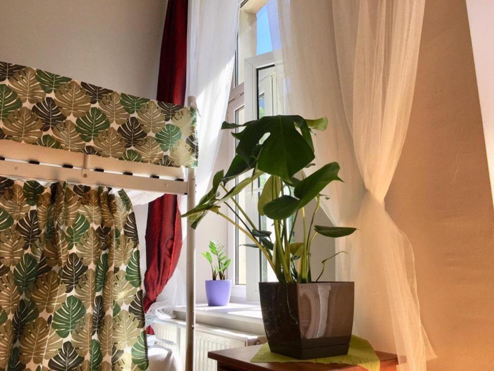 Green House Krakow Ngoại thất bức ảnh